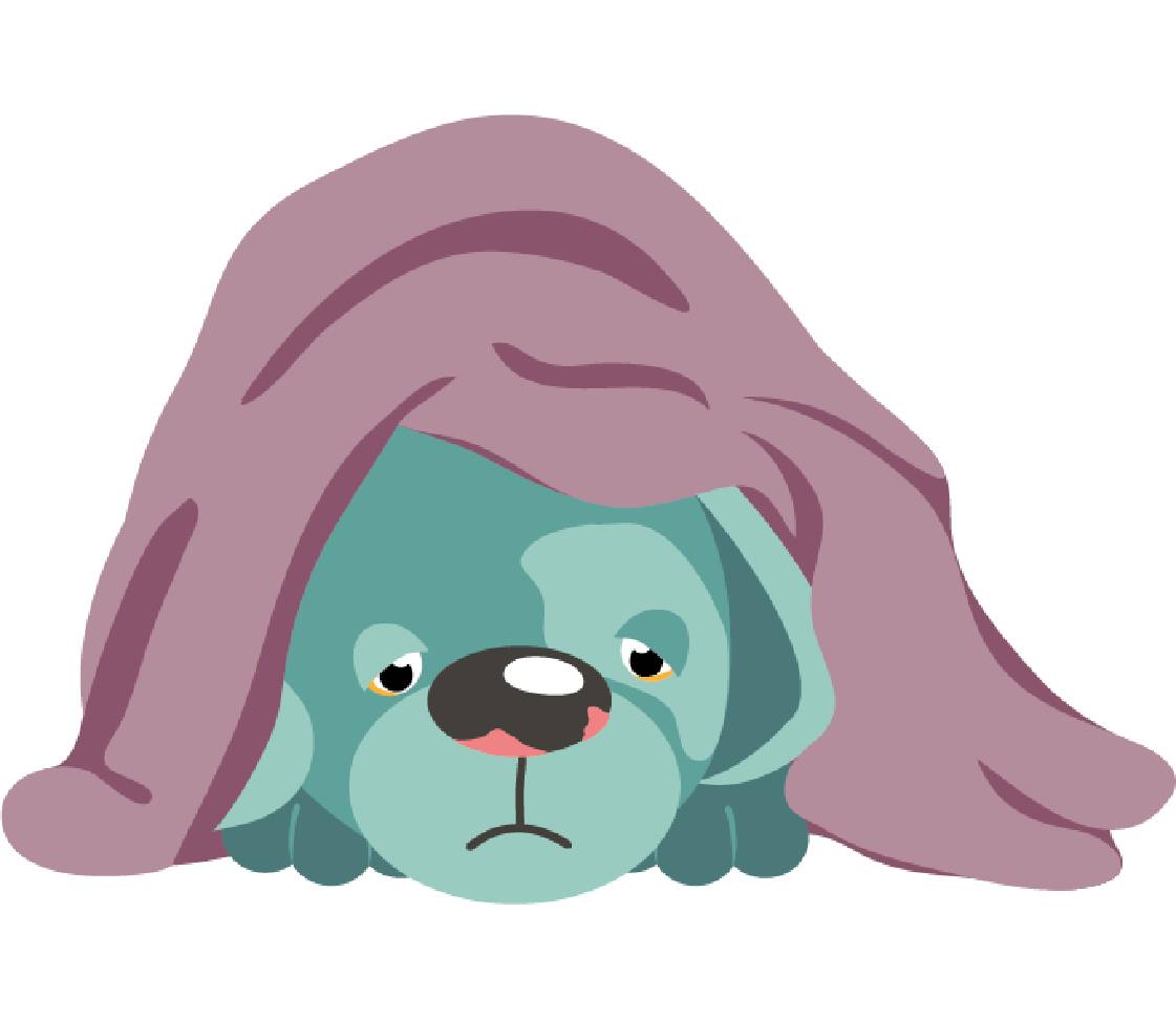 Sick dog