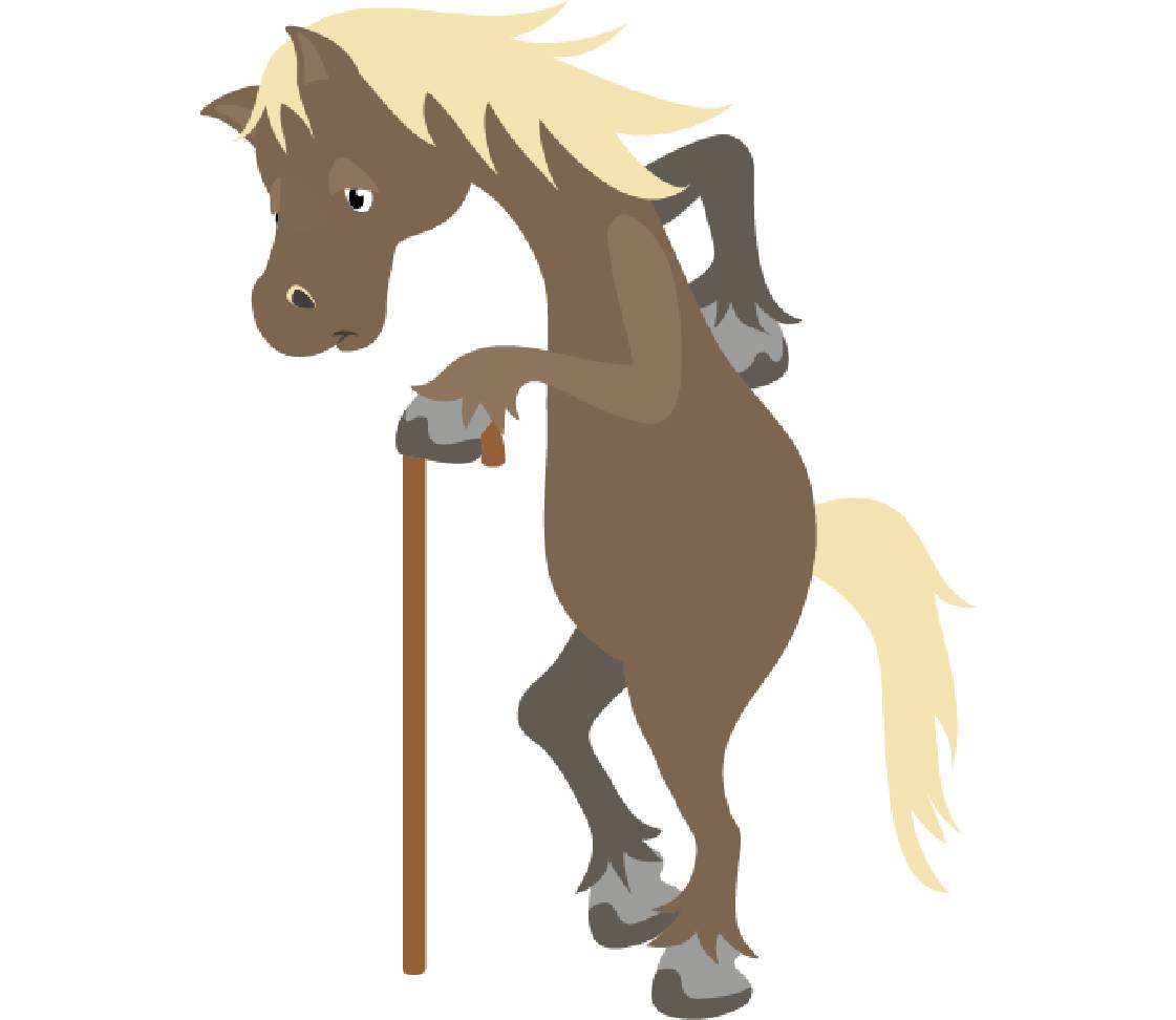 petsXL Sunny alt mit Gehstock