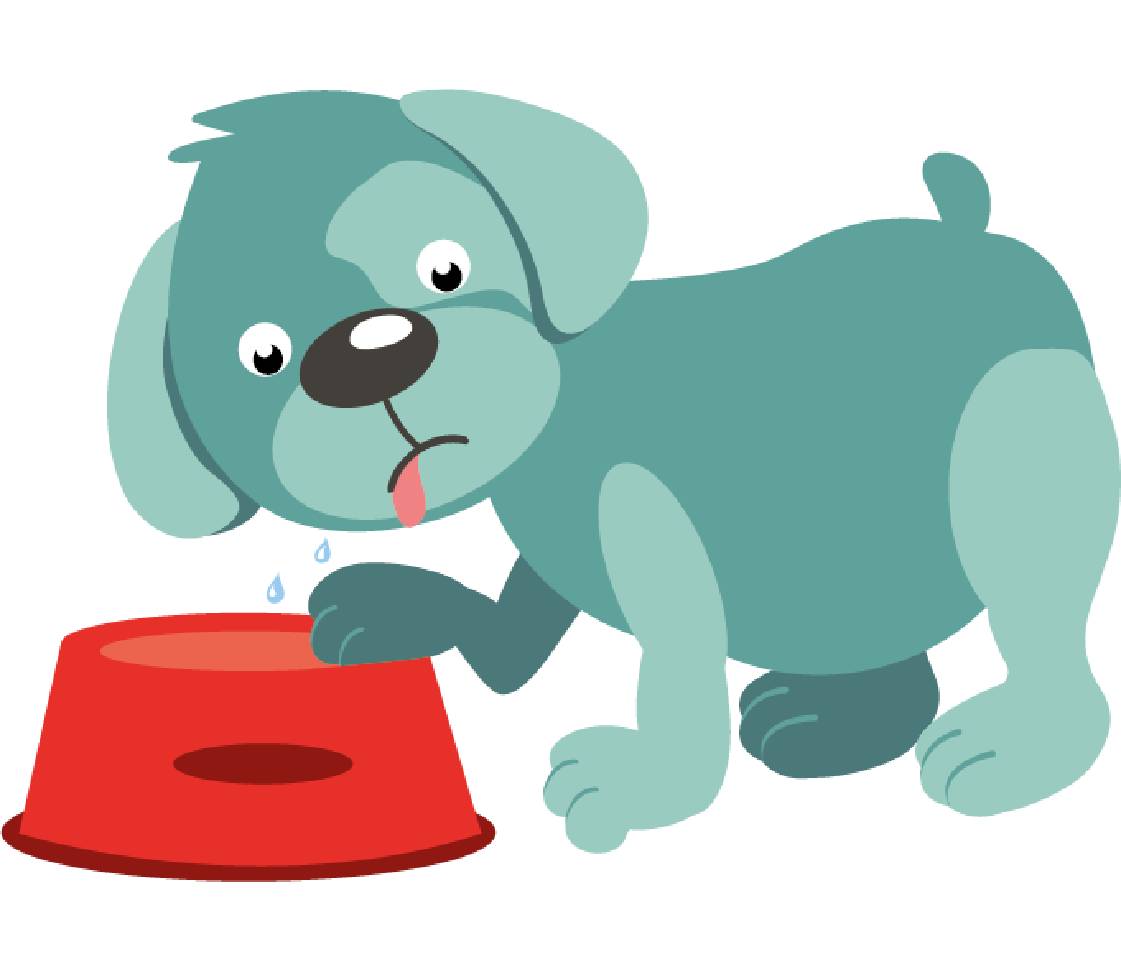 Dog Oskar drinks water