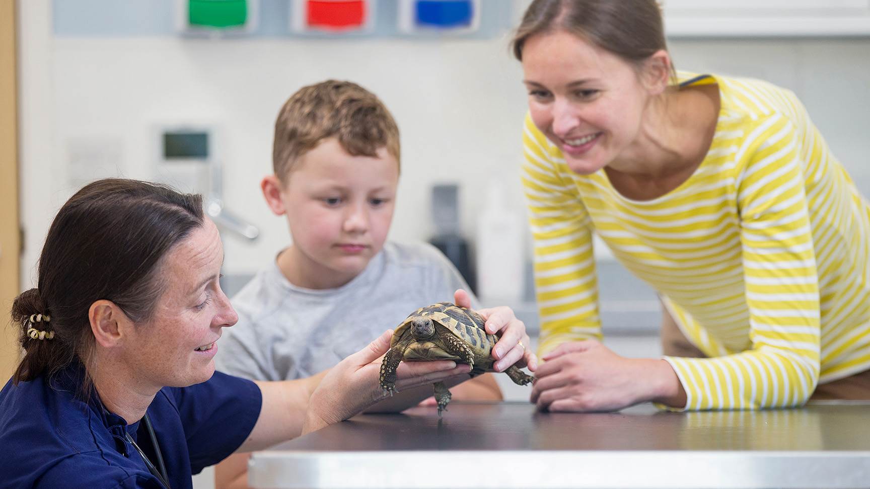 Schildkröte Kind Frau Tierärztin