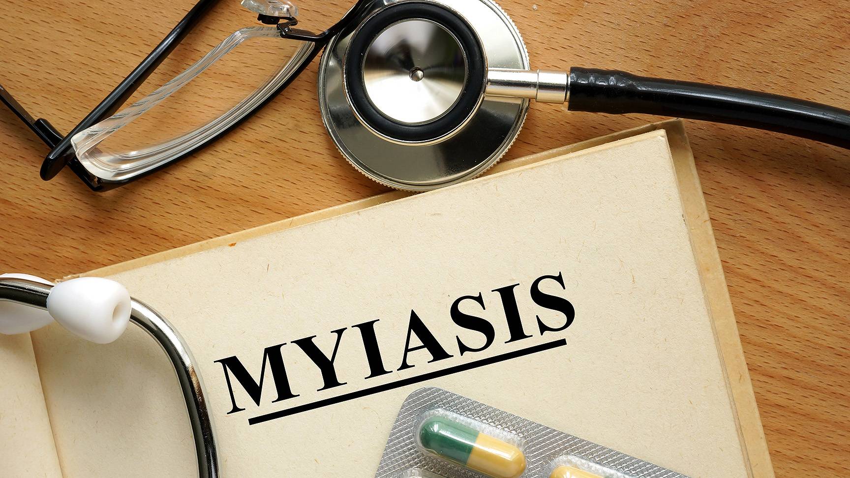 Myiasis