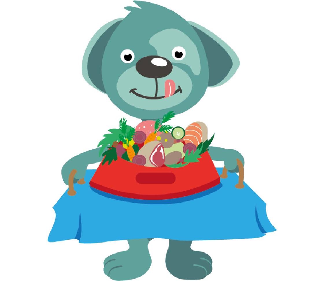 petsXL Oskar with BARF food