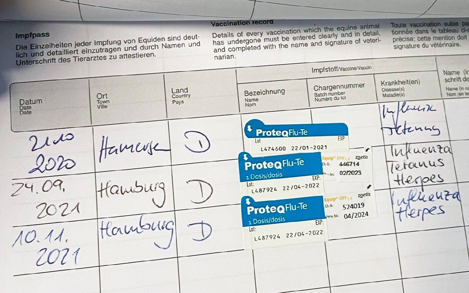 Horse vaccination certificate