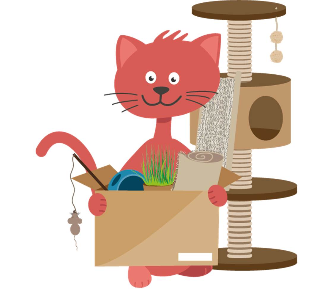 petsXL Minka with scratching post and accessories