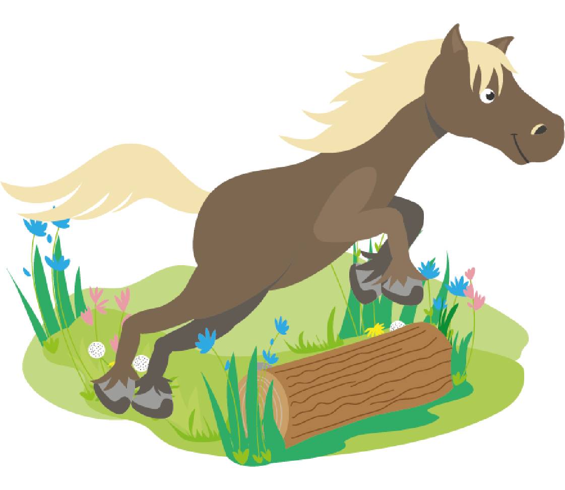 petsXL Sunny jumps on tree trunk