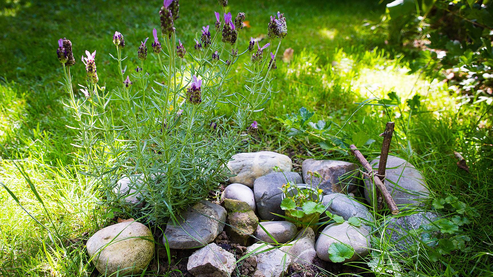 Flower stones grave