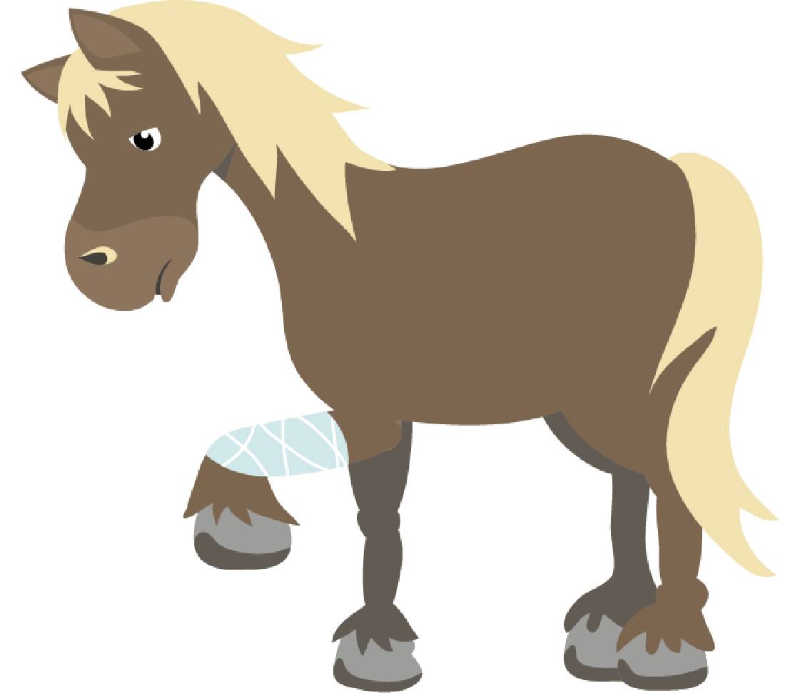 petsXL Sunny with bandage leg