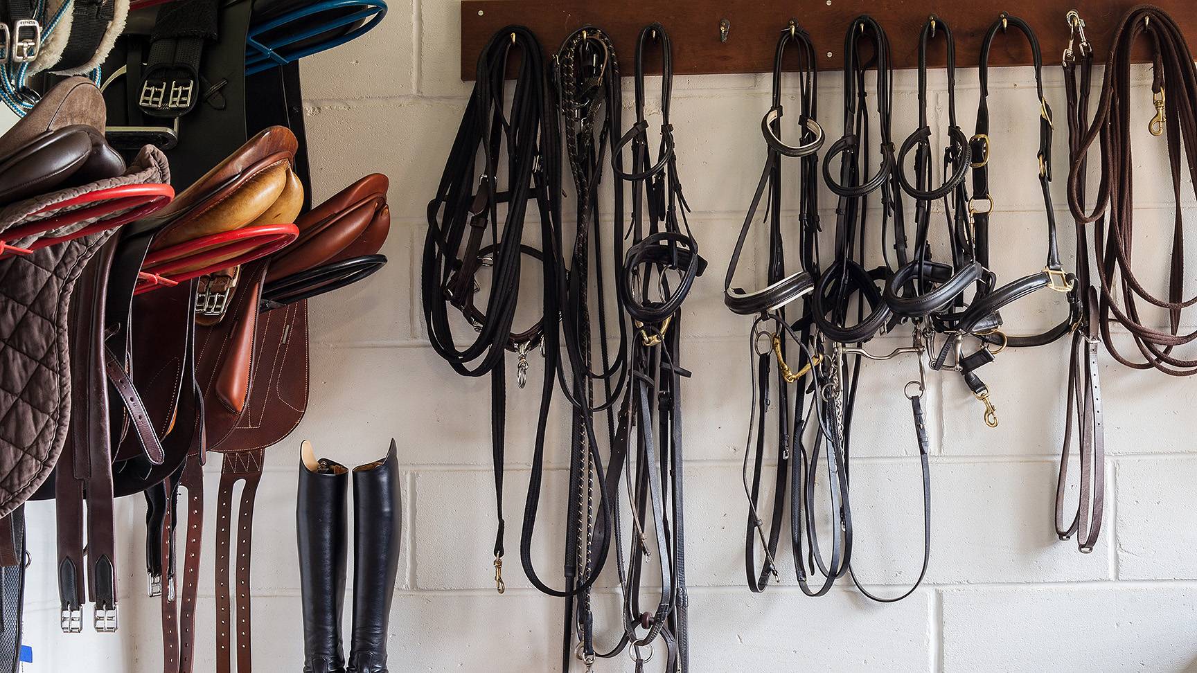 Sättel und Trensen, Sattelkammer