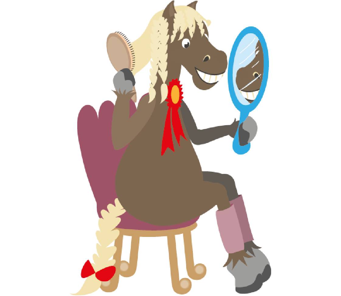 petsXL Sunny Spiegel Haarbürste