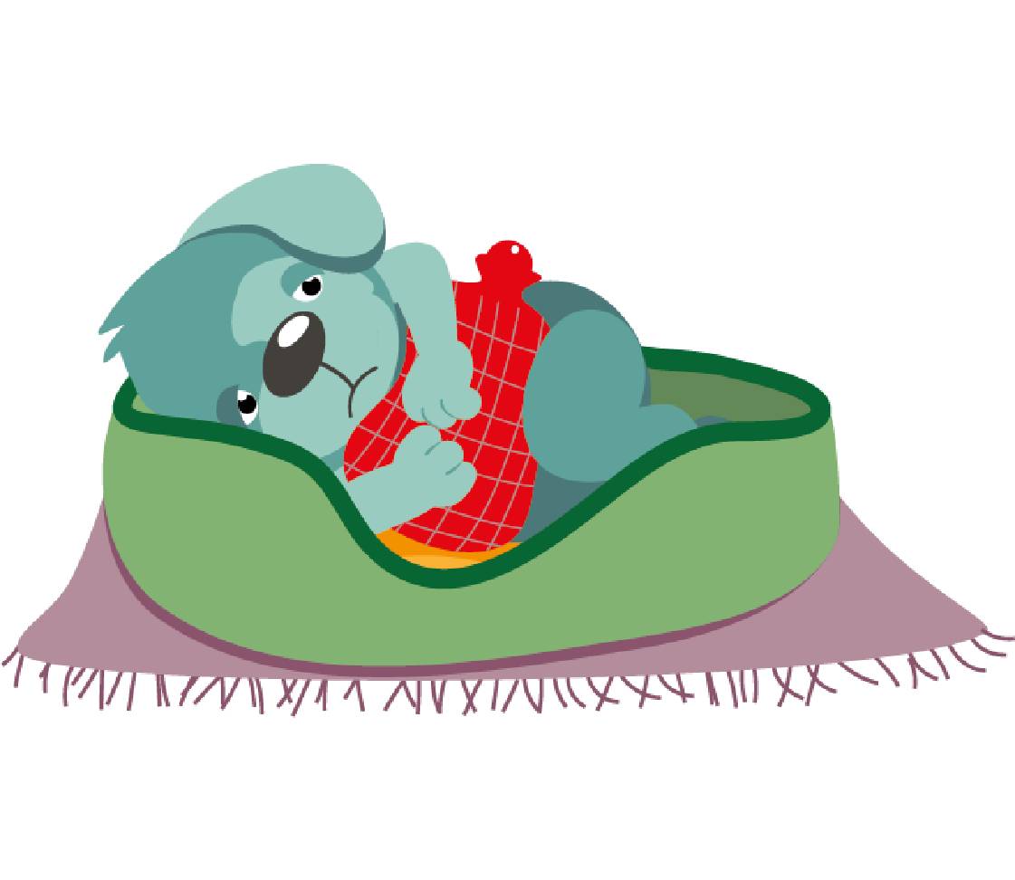 Dog Oskar with stomach ache