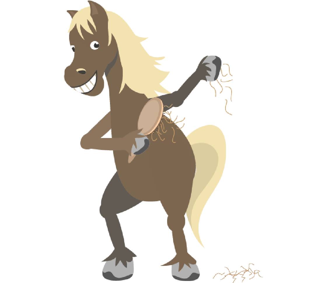 petsXL Sunny bürstet sich