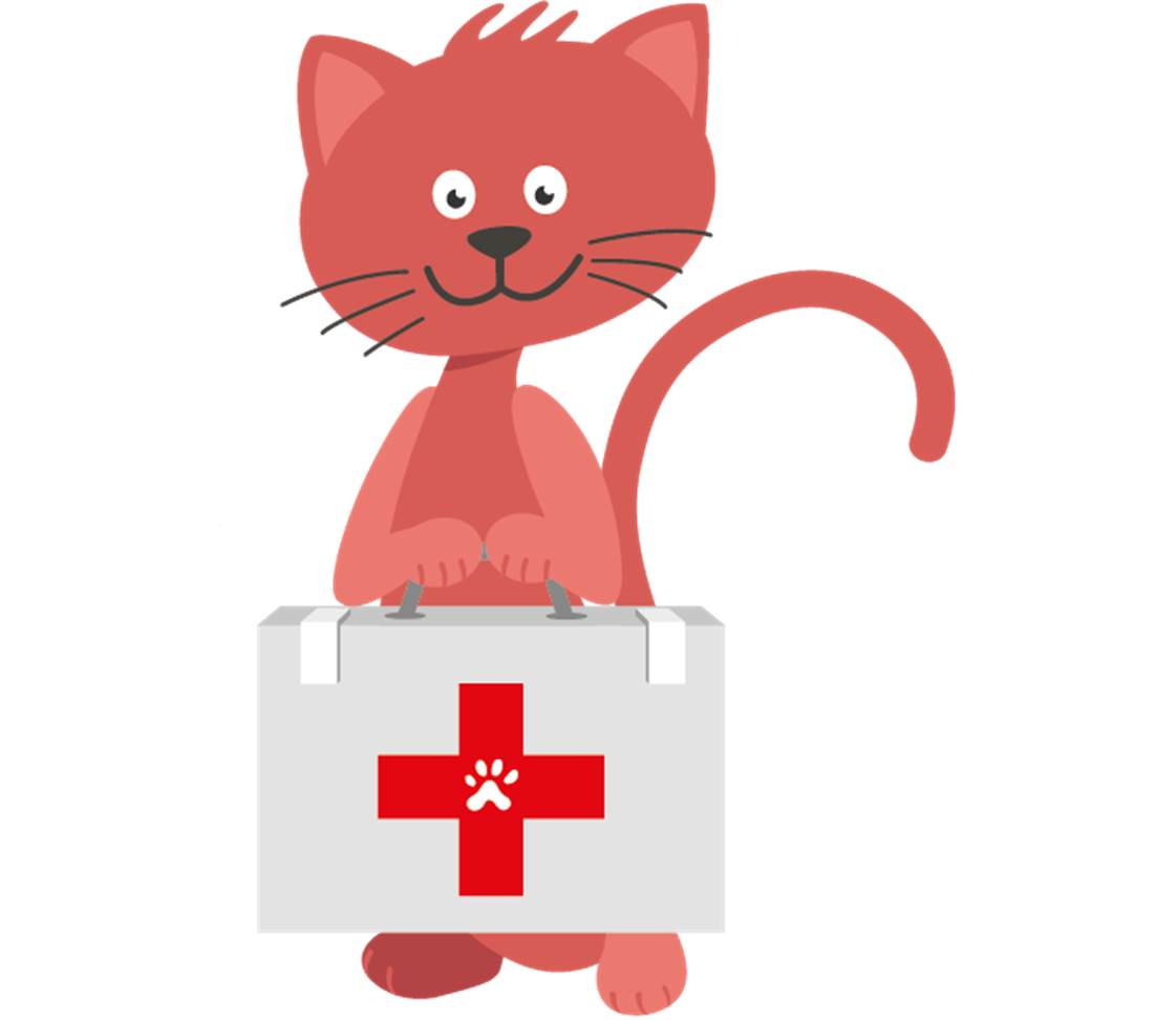petsXL Minka with first aid kit