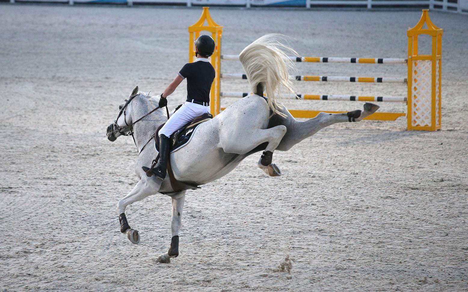 Jumping horse kicks out