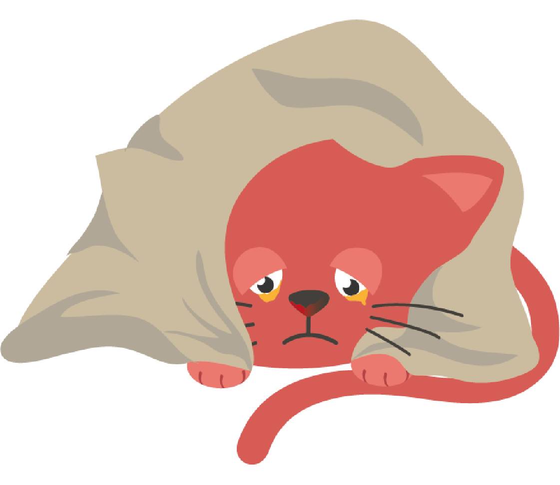 Cat with feline distemper