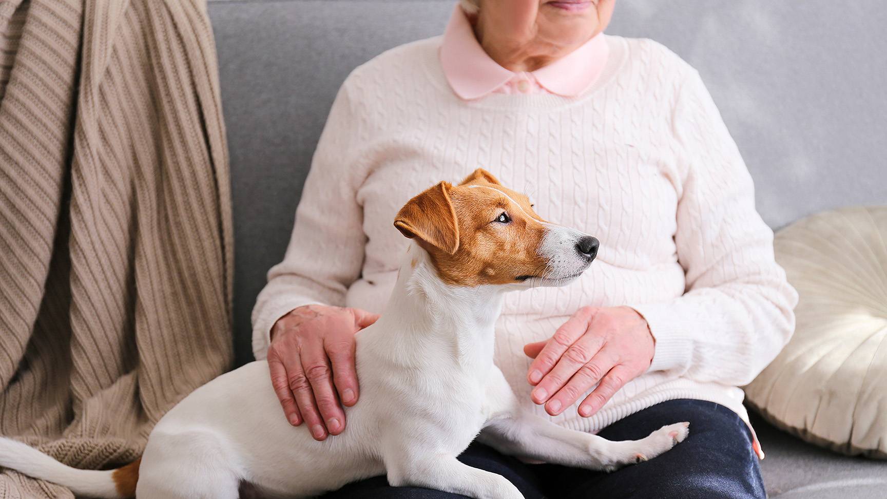Hund und Frau auf Sofa