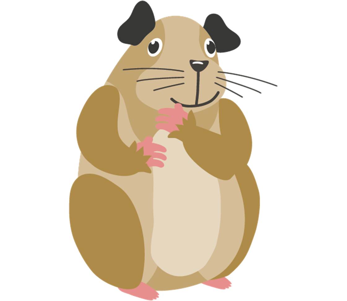 petsXL Guinea pigs