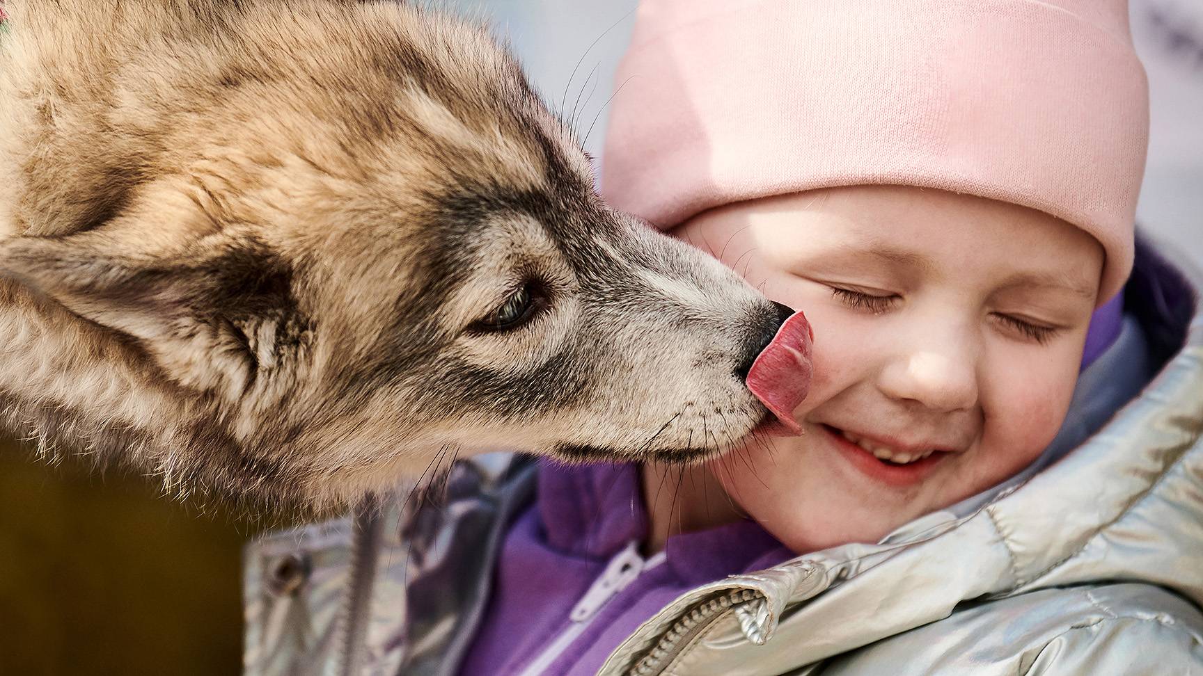 Dog licks toddler's face