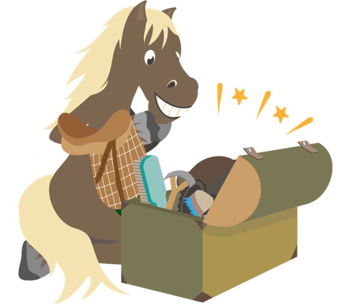 petsXL Sunny with grooming box and saddle