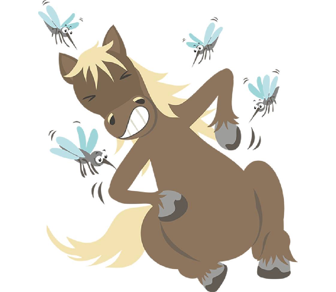 Horse with insects