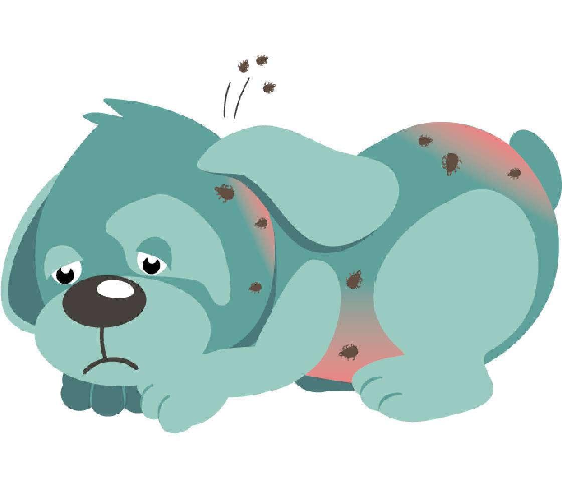Dog with mites
