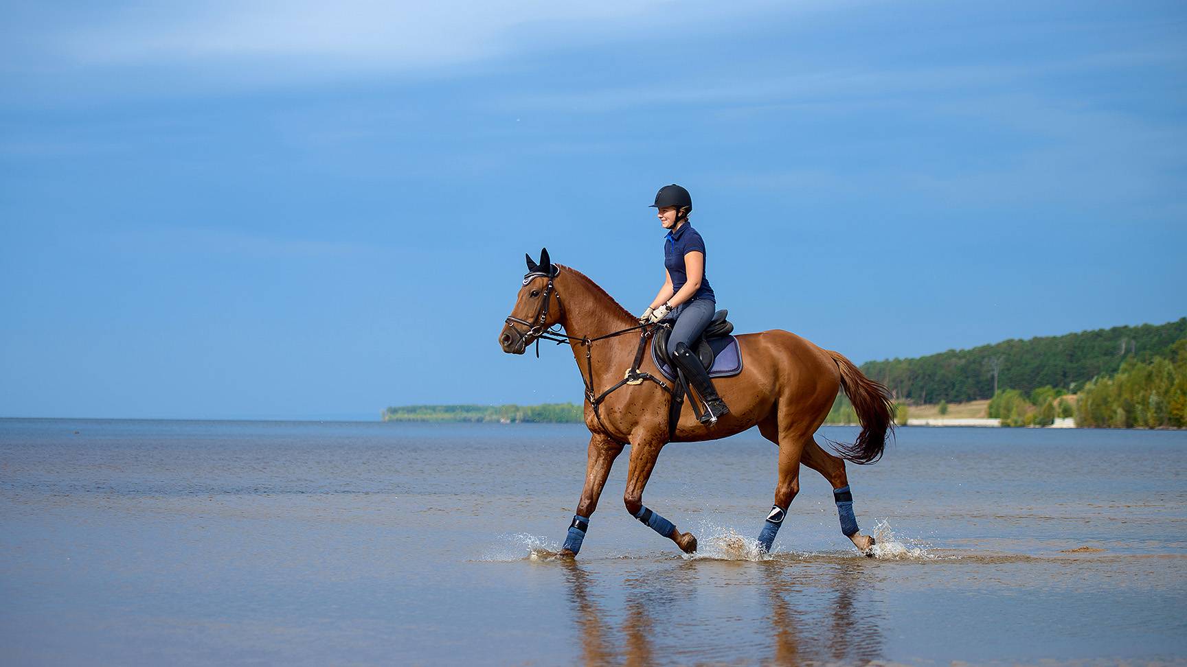 Rider on the beach