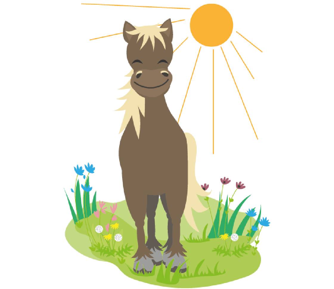 petsXL Sunny auf der Wiese