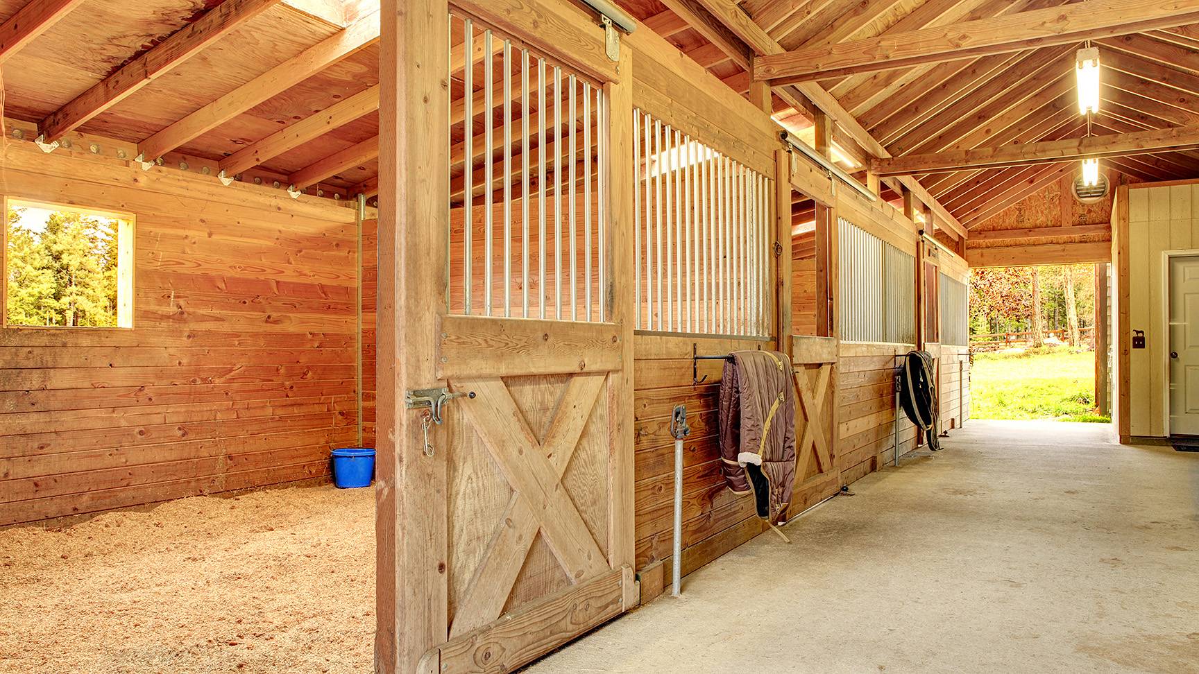 Horse stall with shavings