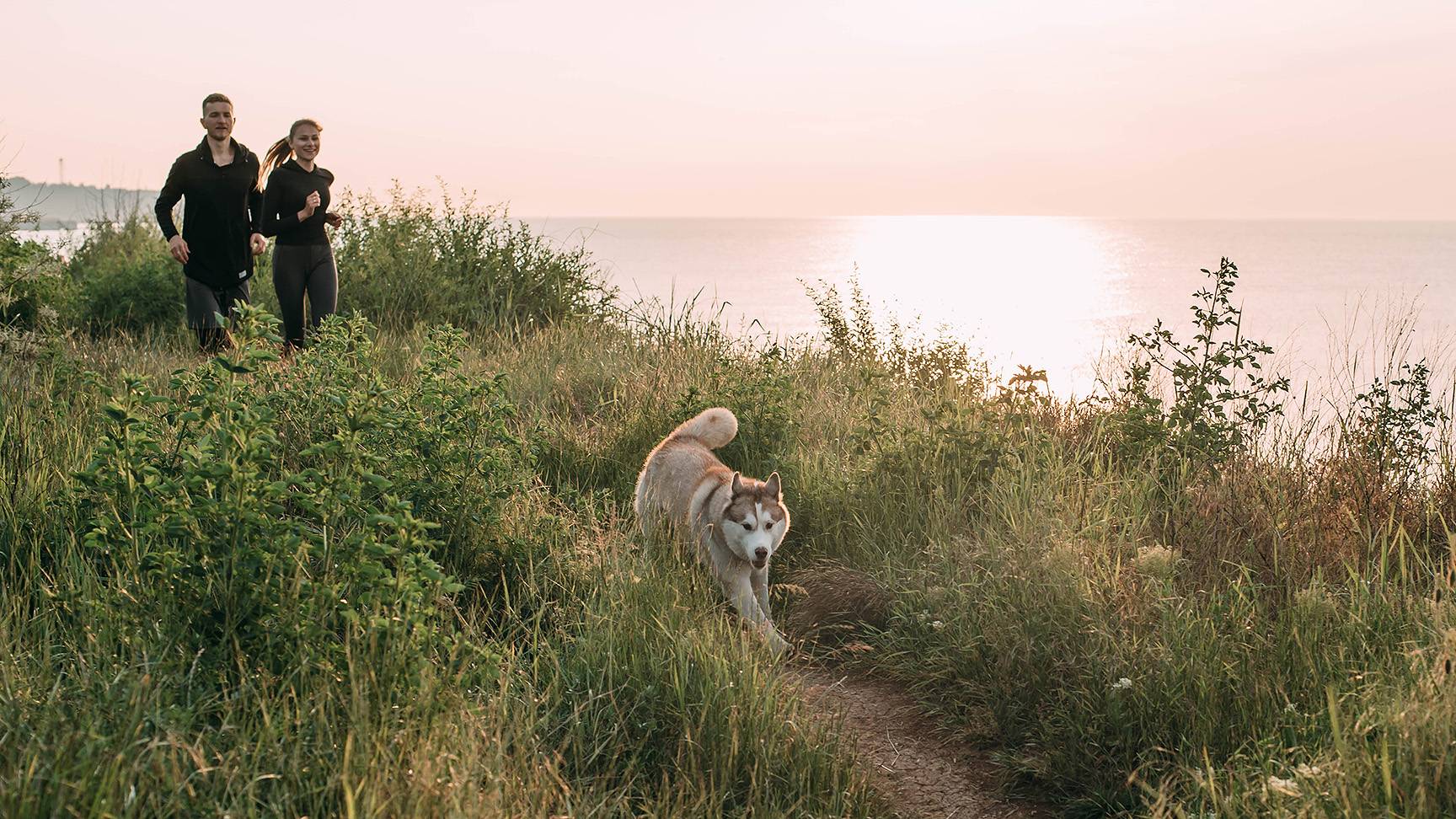 Dog jogging man woman