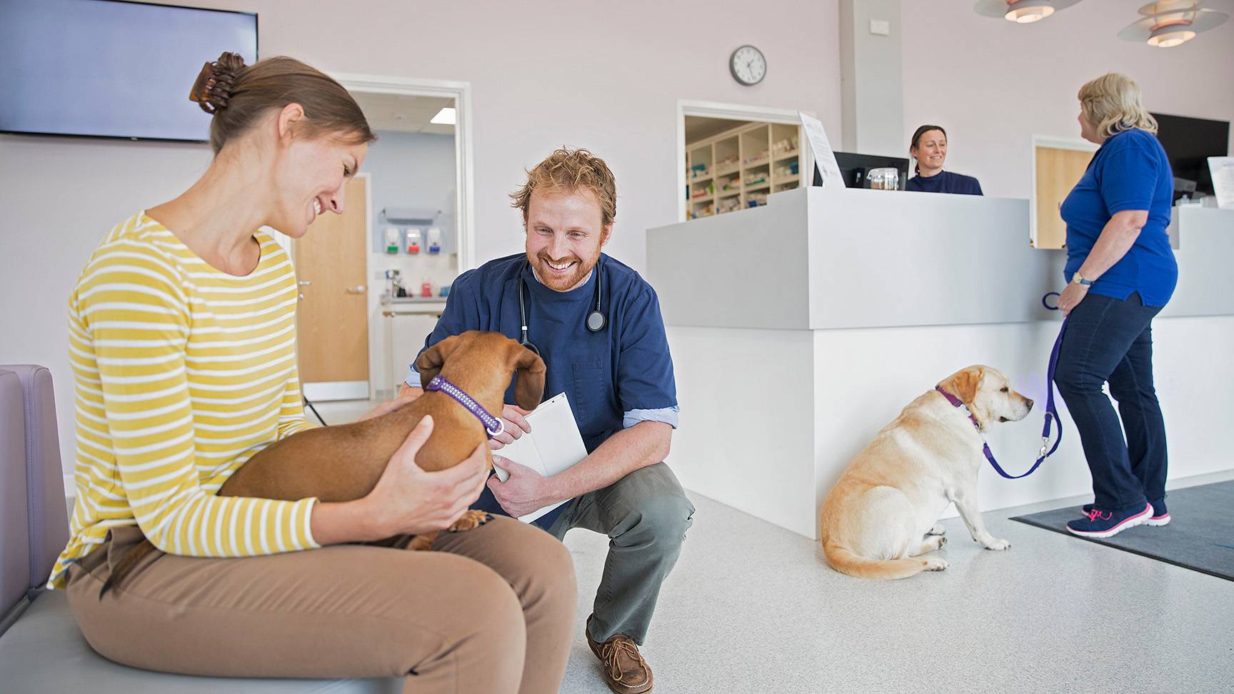 Hunde und ihre Besitzerinnen im Wartezimmer einer Tierarztpraxis