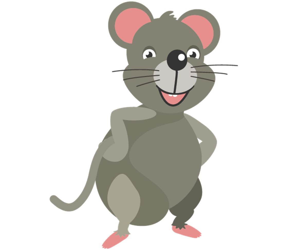 petsXL Mouse