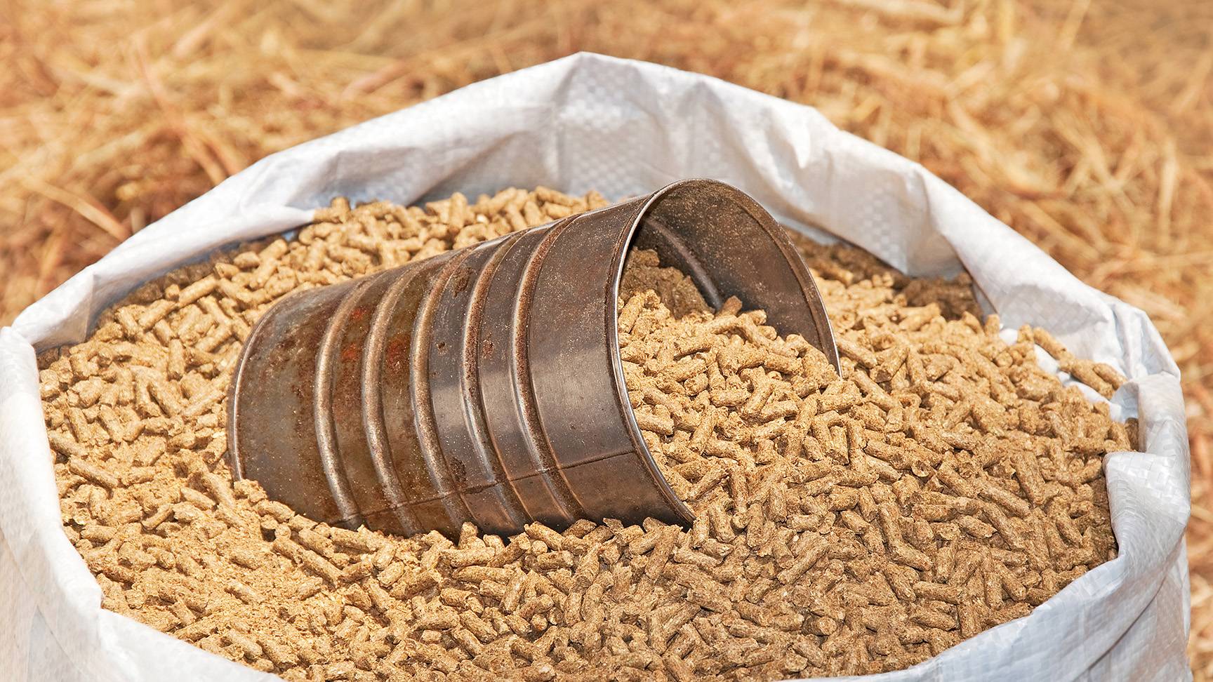 Pferdefutterpellets