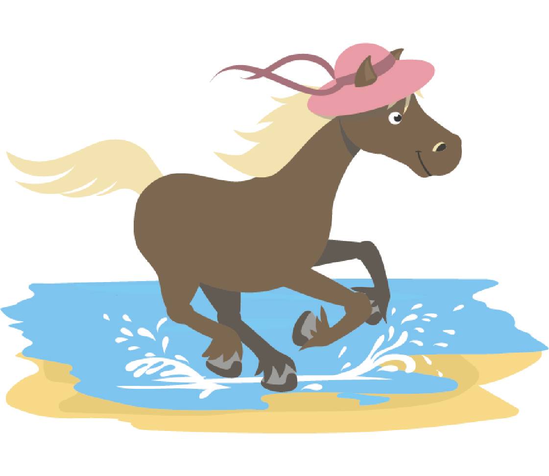 petsXL Sunny im Wasser