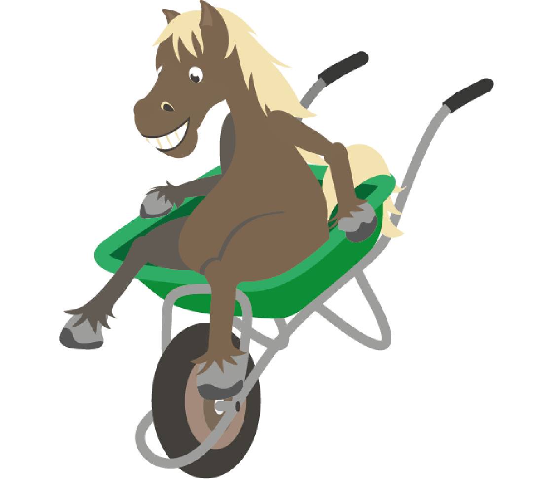 petsXL Sunny in a wheelbarrow