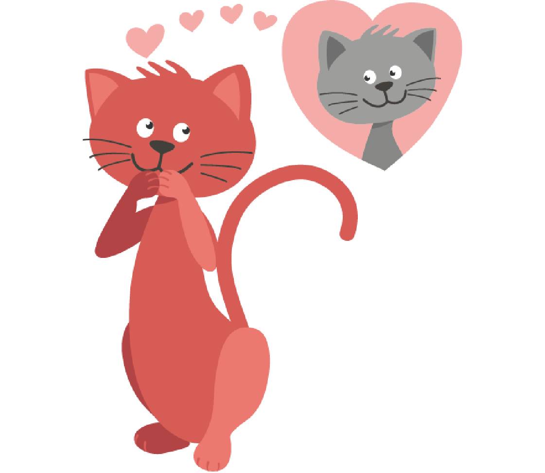 petsXL Minka is in love