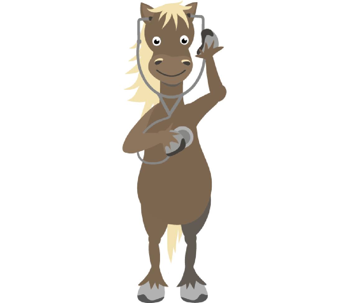 petsXL Sunny with stethoscope