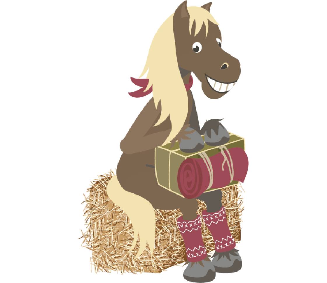 petsXL Sunny with packed suitcase