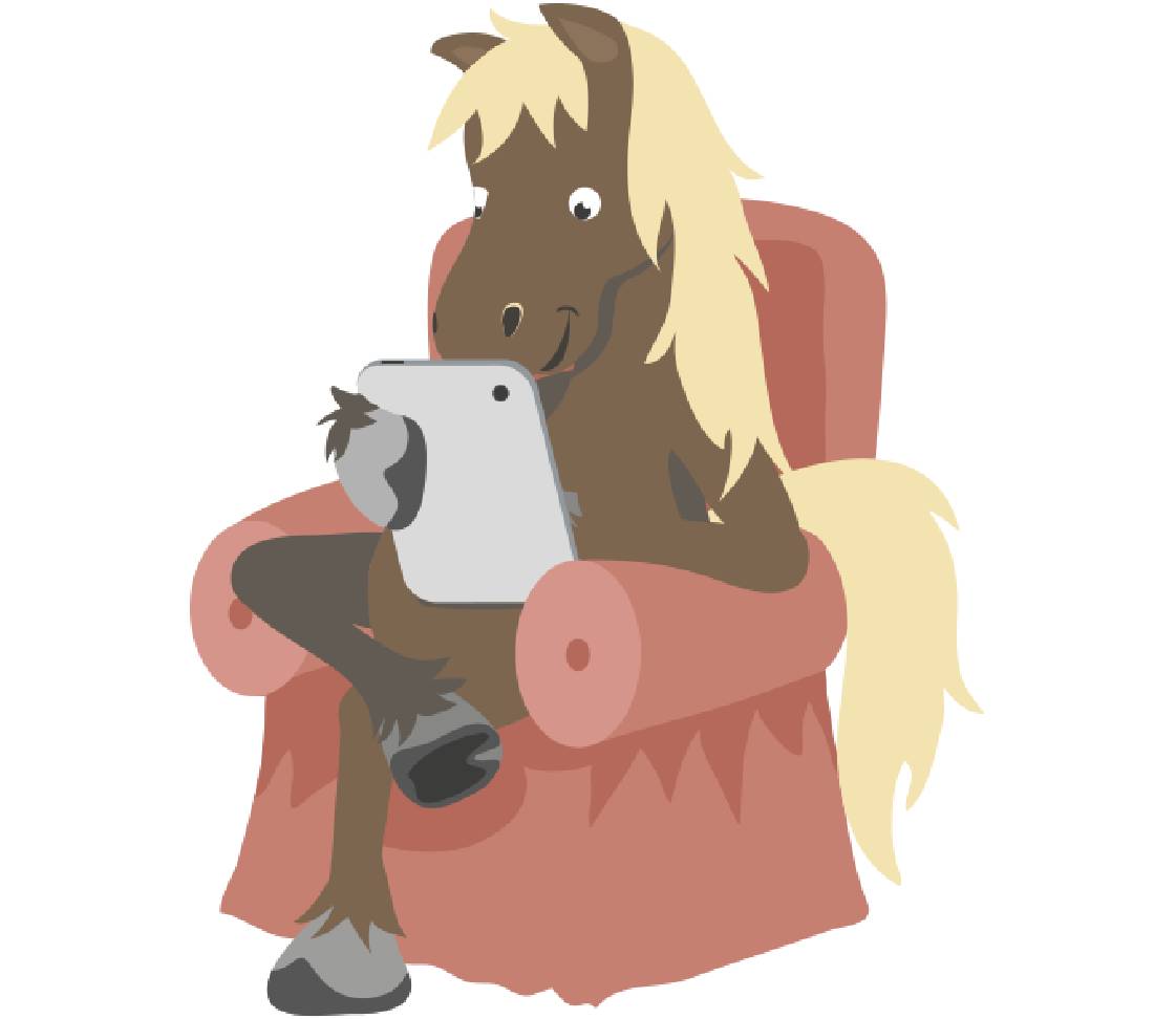 petsXL Sunny sits on armchair with cell phone