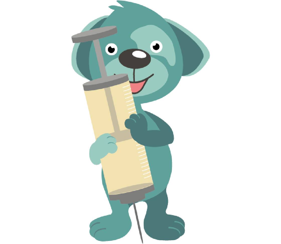 Dog Oskar with vaccination