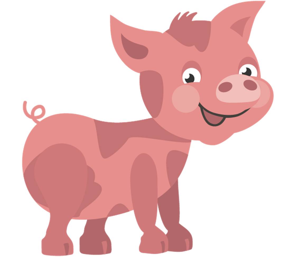 petsXL Mini Pig
