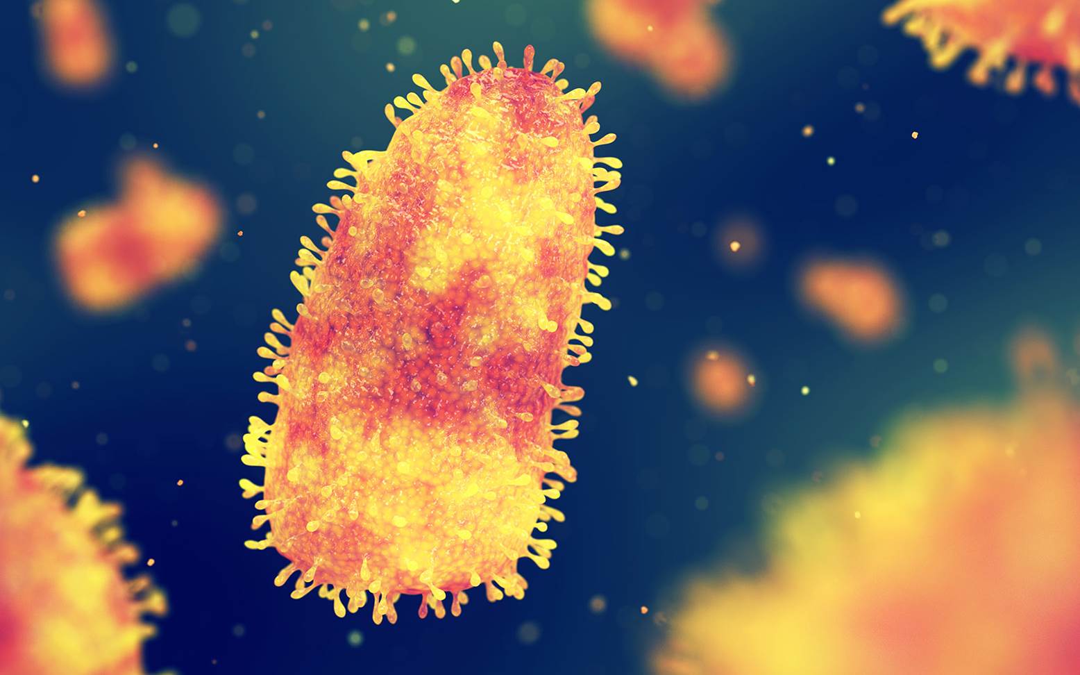 Rabies virus