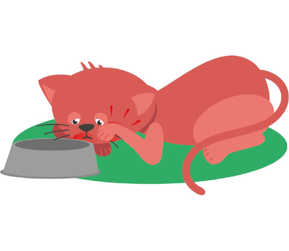 Minka mit Schmerzen im Maul