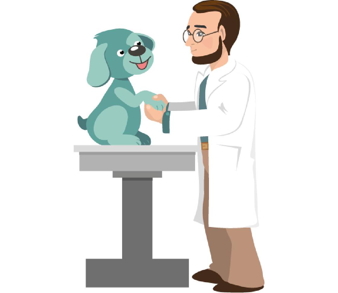 petsXL Oskar at the veterinarian