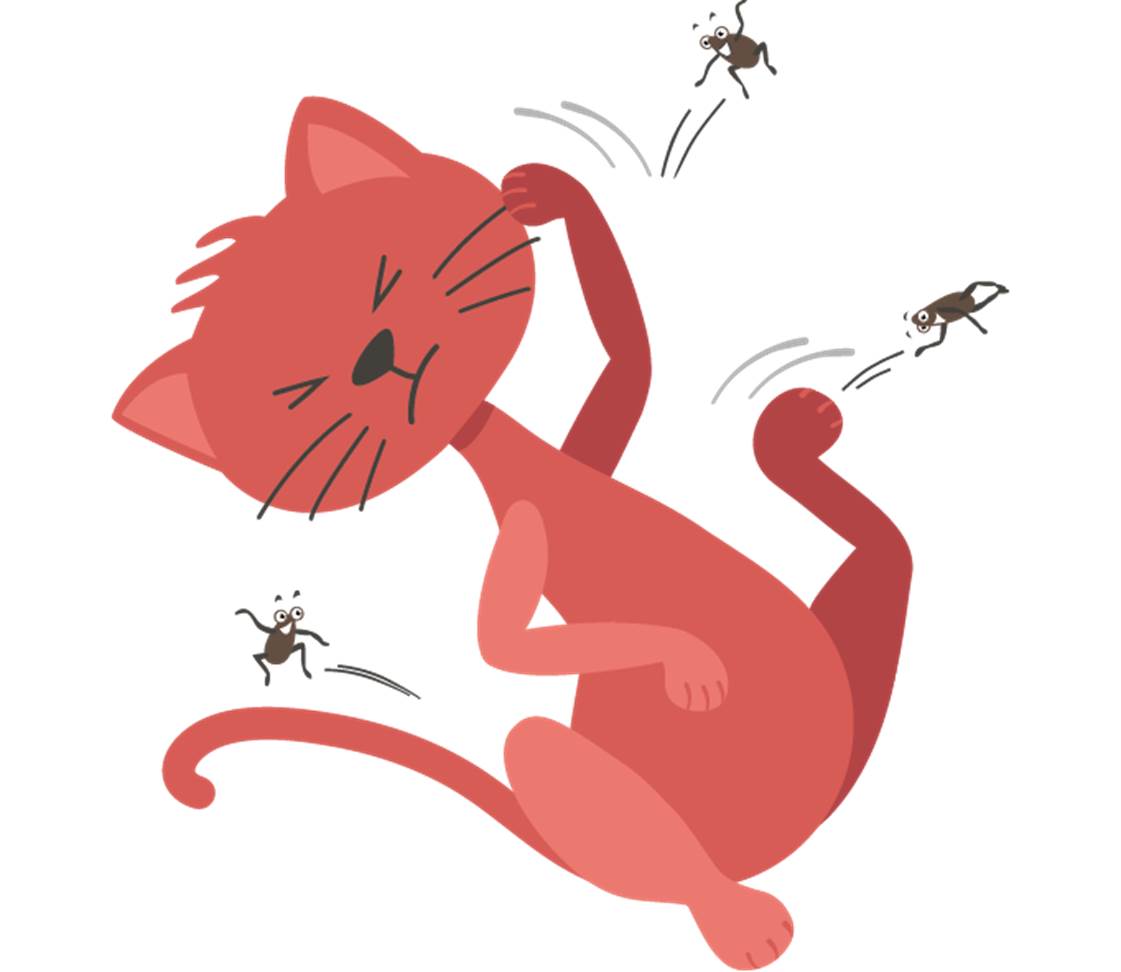 Katze mit Milben