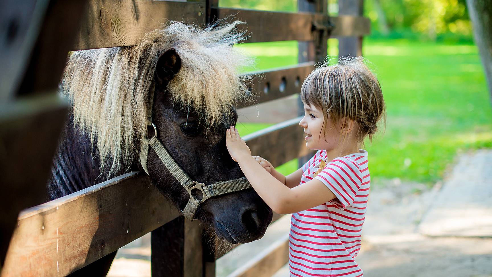 Pony und Kind
