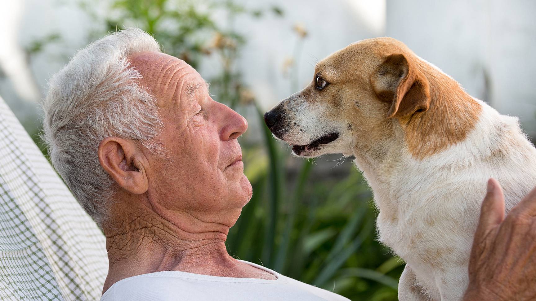 Man dog