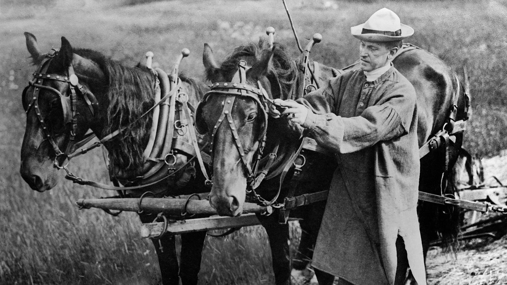 Historisches Bild Pferdepflug