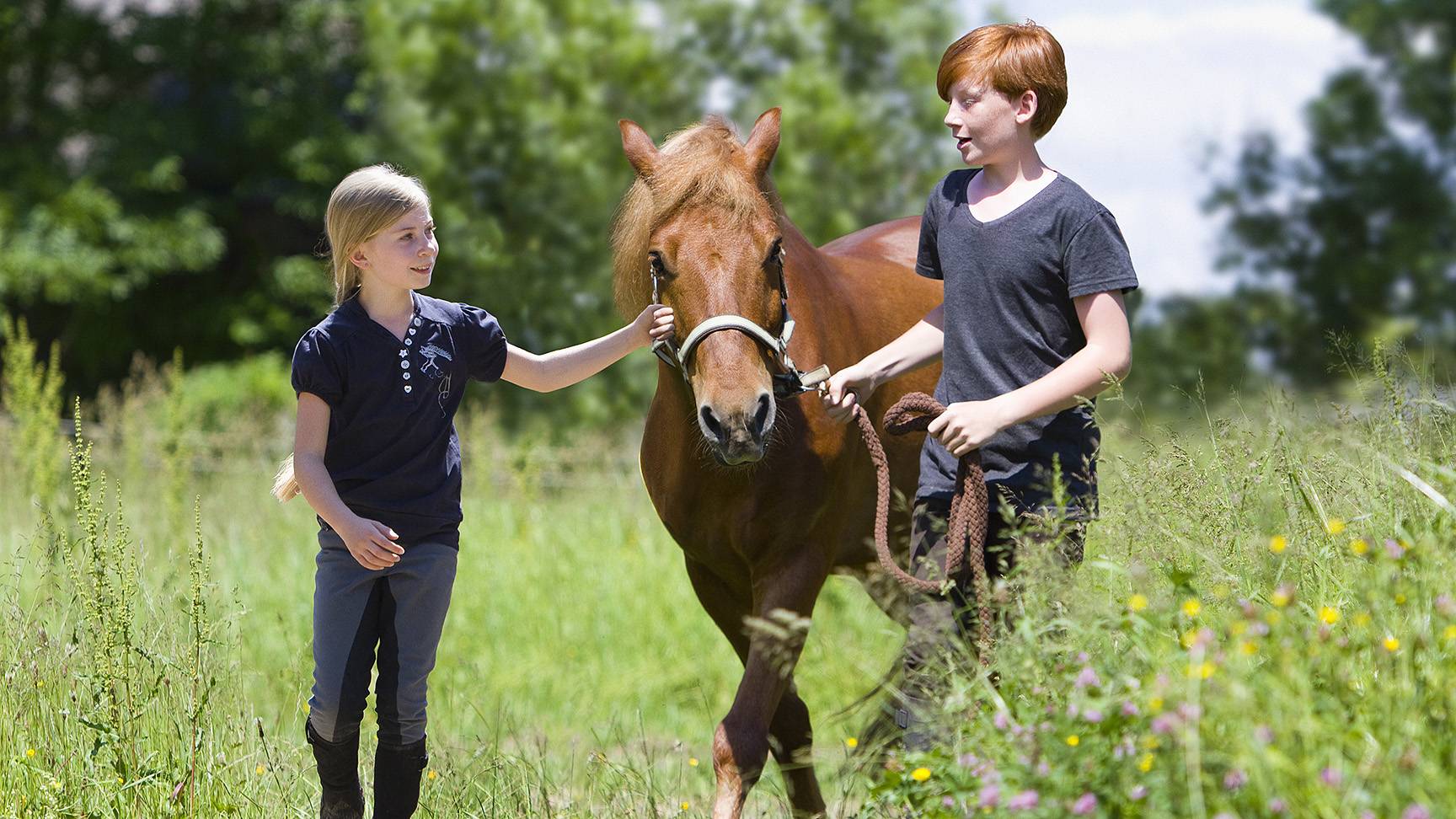 Two children with pony