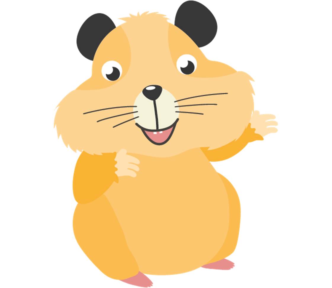 petsXL hamster