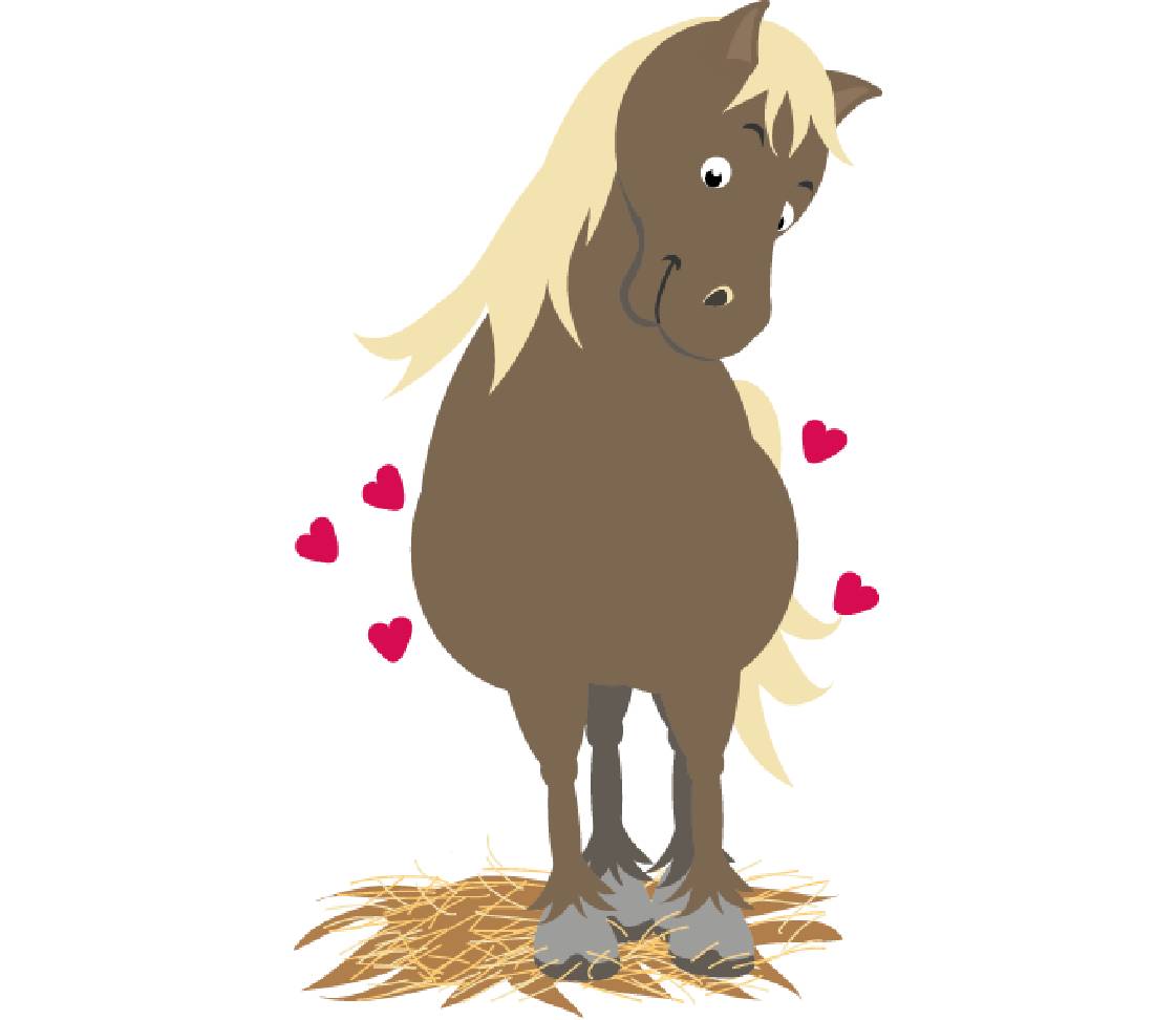 petsXL Sunny tragend