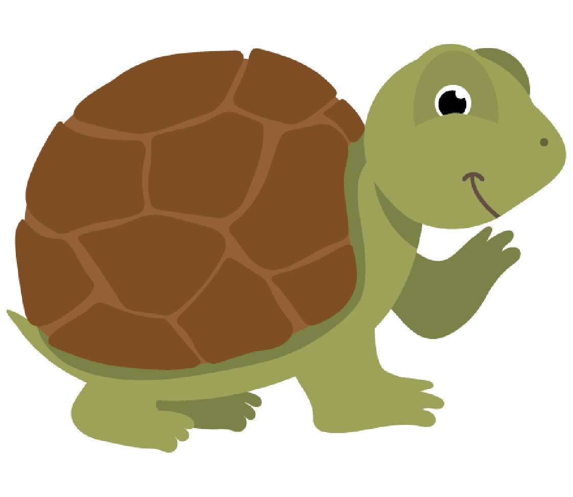 petsXL Schildkröte